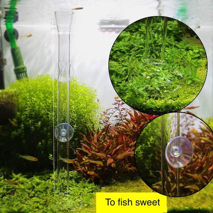 Shrimp Feeding Tube and Dish,Clear Crystal Glass 12“, clear