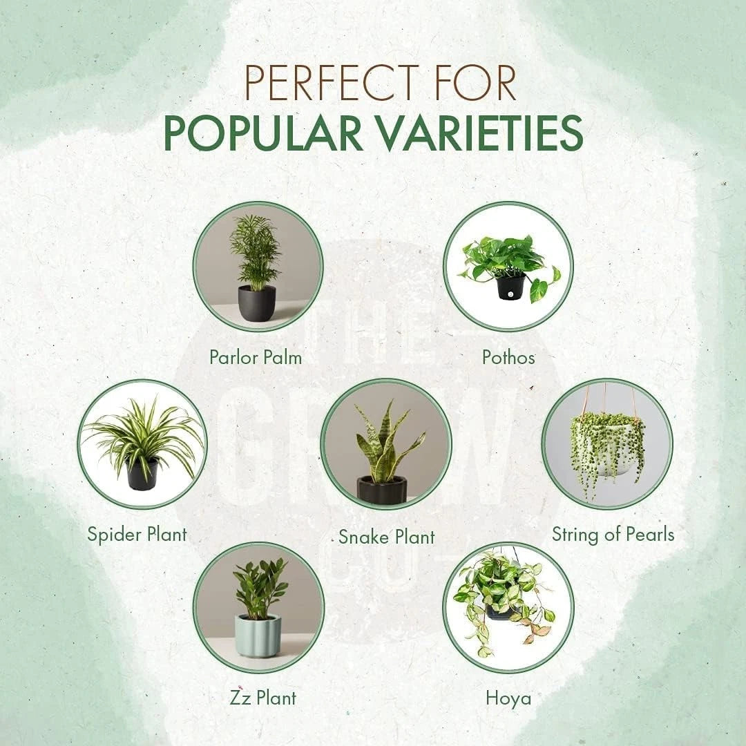 Indoor Plant Food - All-Purpose Fertilizer (Liquid Alternative) - Best for...