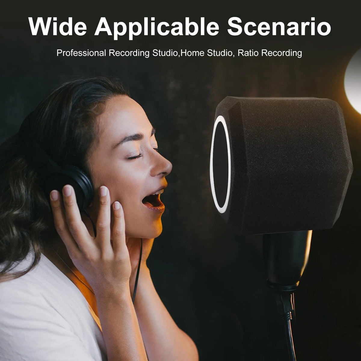 Professional Microphone Isolation Ball with 2-Layered Pop Medium, black