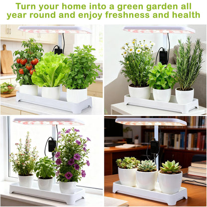 Indoor Herb Garden with Grow Light, Full Spectrum LED 16.5*6.5*4 inch, White