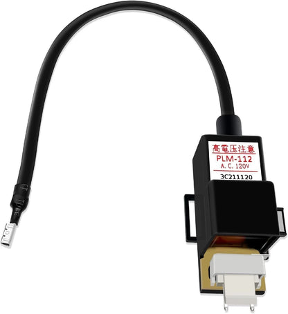 WISINY RTG20235C RTG20235BC Tankless Gas Water Heater Ignitor Coil Black