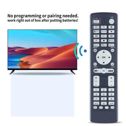 IR-100L Generic Replacement Compatible with BUZZ TV Set Top Boxes XR4000 XRS4500