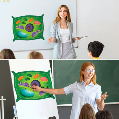Leitee 18 Pcs Magnetic Plant Cell Model Kits Giant Teaching 17.8 x 13.7 in