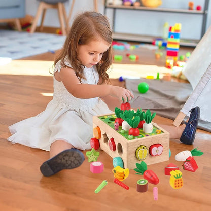 Toddlers Montessori Wooden Educational Toys for Baby Boys Middle, Multicolor