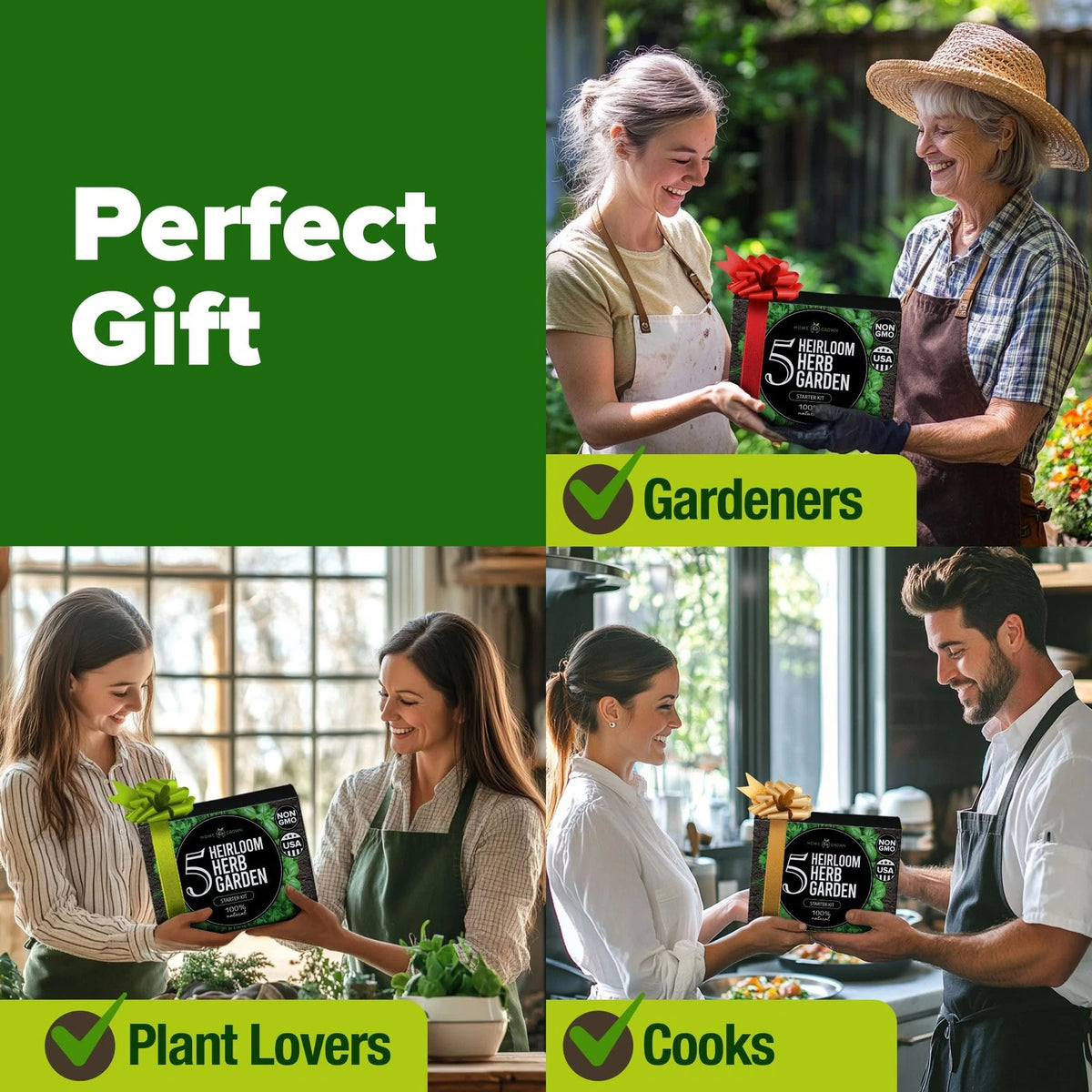 HOME GROWN Indoor Herb Garden Starter Kit – Complete 5 5-Pack, 5