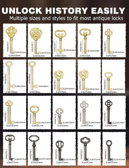 Skeleton Key, 20PCS Universal Hollow Barrel Antique Keys Gold, Black, Silver