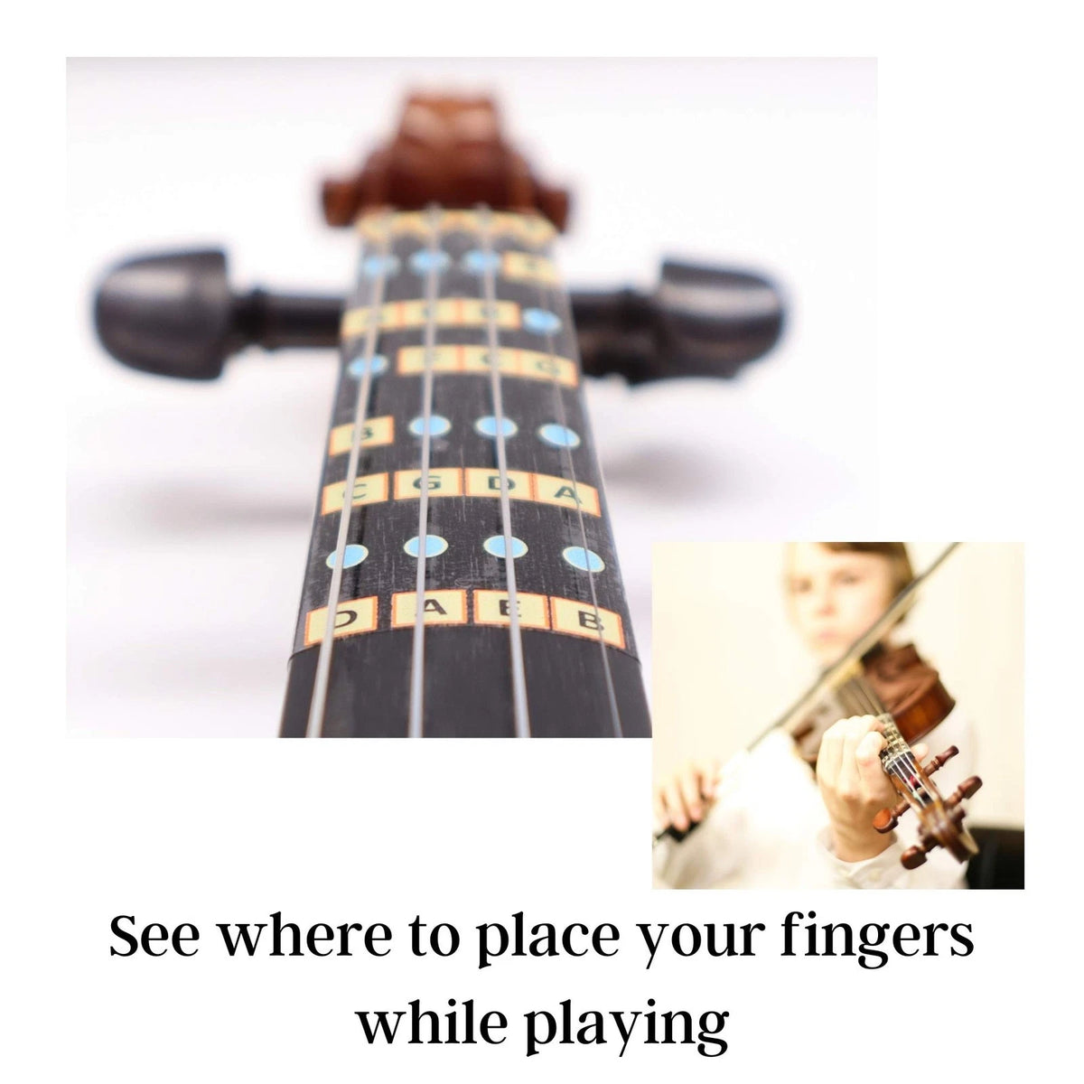 Fantastic Finger Guide for Violins Kids/Adult Beginner | 1/2, multi-color