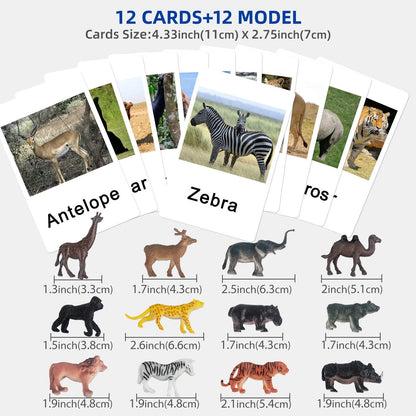 MEROCO Montessori Zoo Safari Animal Match - Miniature Figurines with 2 Medium