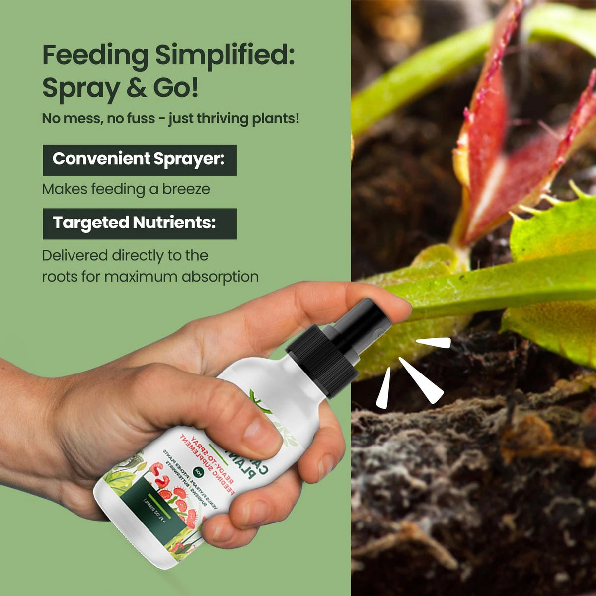 4oz Carnivorous Plant Food Spray & Venus Fly Trap - Up to 600 Sprays,...
