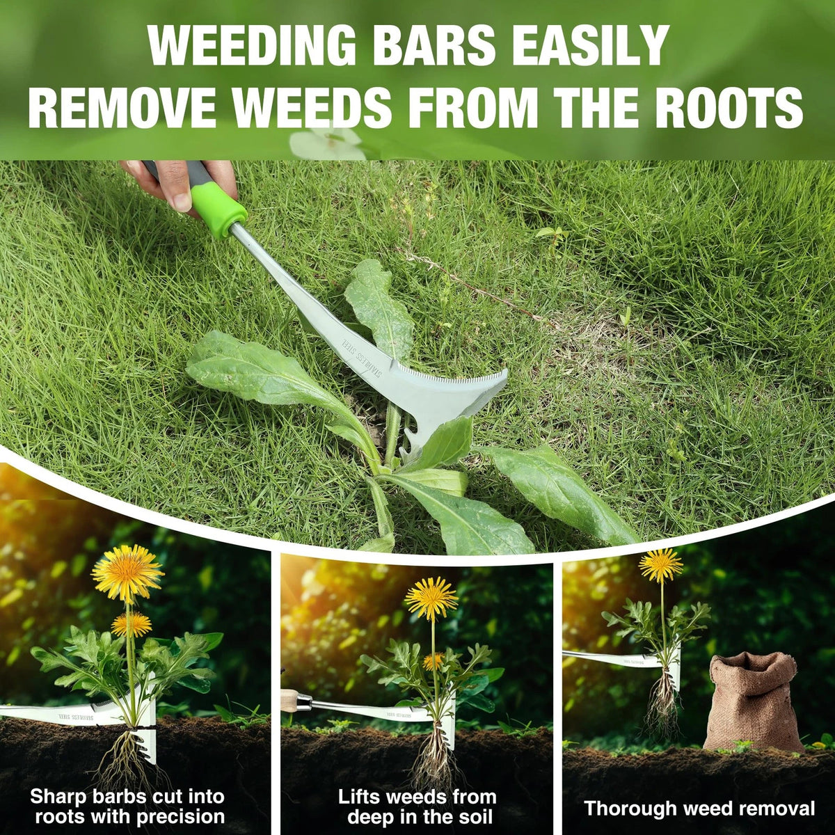 WORKPRO Crack Weeder, 12.5" Stainless Steel Crevice Weeding Green & Black