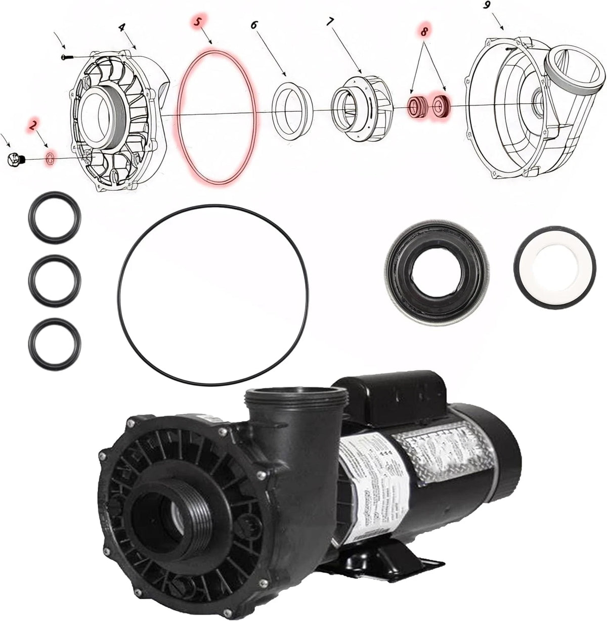 Replacement Frame Spa Pump Shaft Seal O-Ring Repair As shown in the figure
