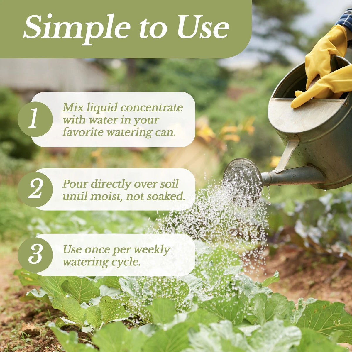 LEAVES AND SOUL Professional Liquid Zucchini Fertilizer | 5-1-5