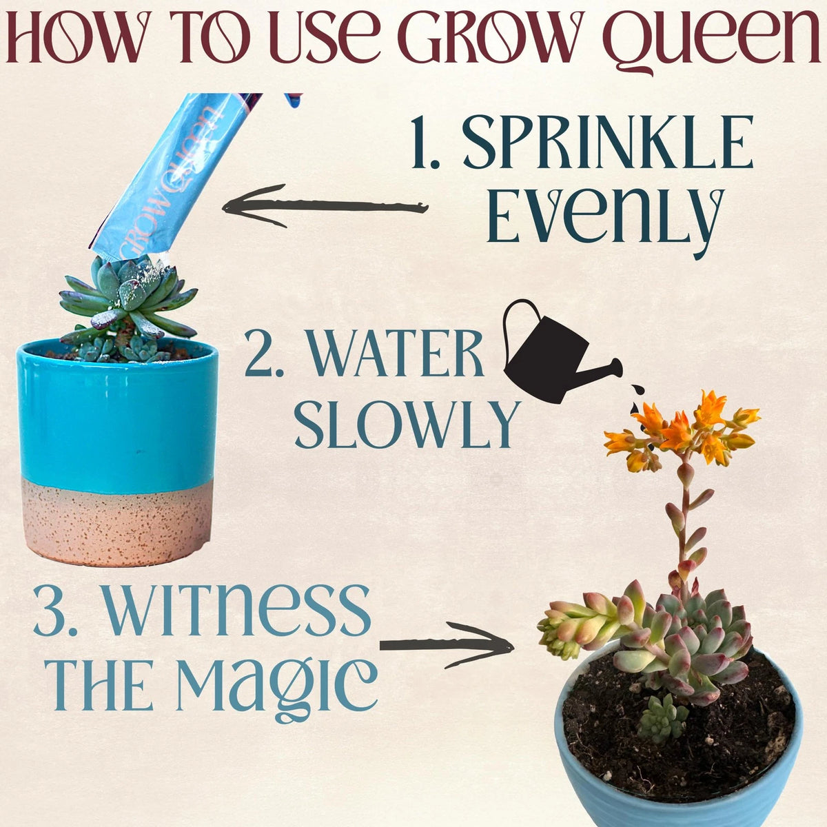Grow Queen All-In-One Organic Succulent Fertilizer, 25 Pack Single Servings