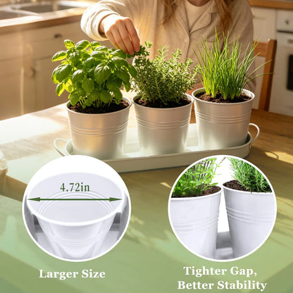 TCBWFY Indoor Herb Garden Planter Set - 3 Pack 4.7" White 4.7 inches,