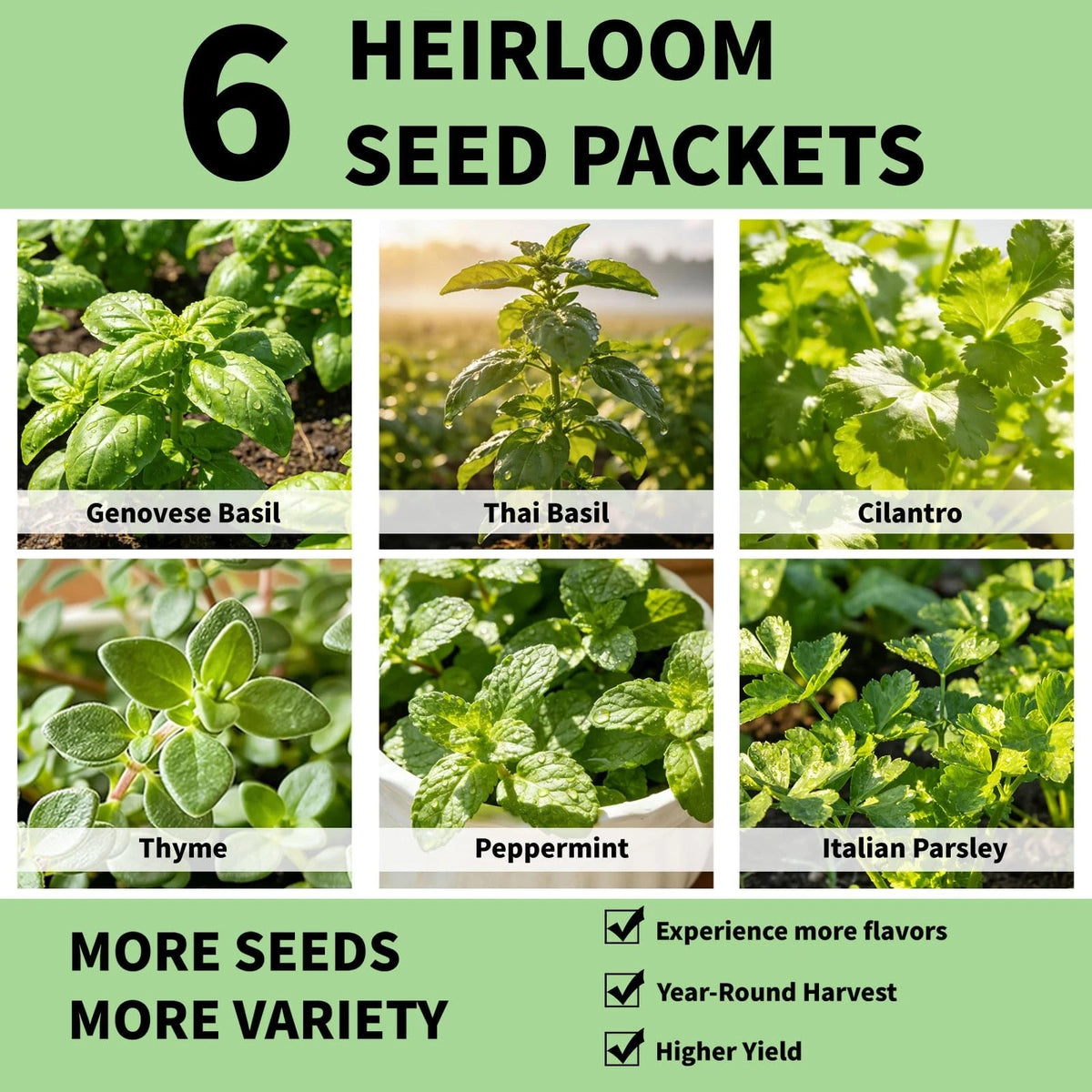 Herb Seed Pods Kit Hydroponic -12 Refill Grow with Classic Herbs