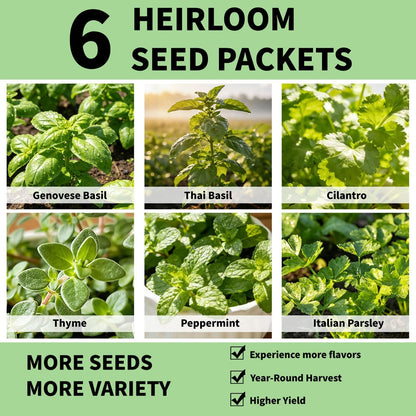 Herb Seed Pods Kit Hydroponic -12 Refill Grow with Classic Herbs