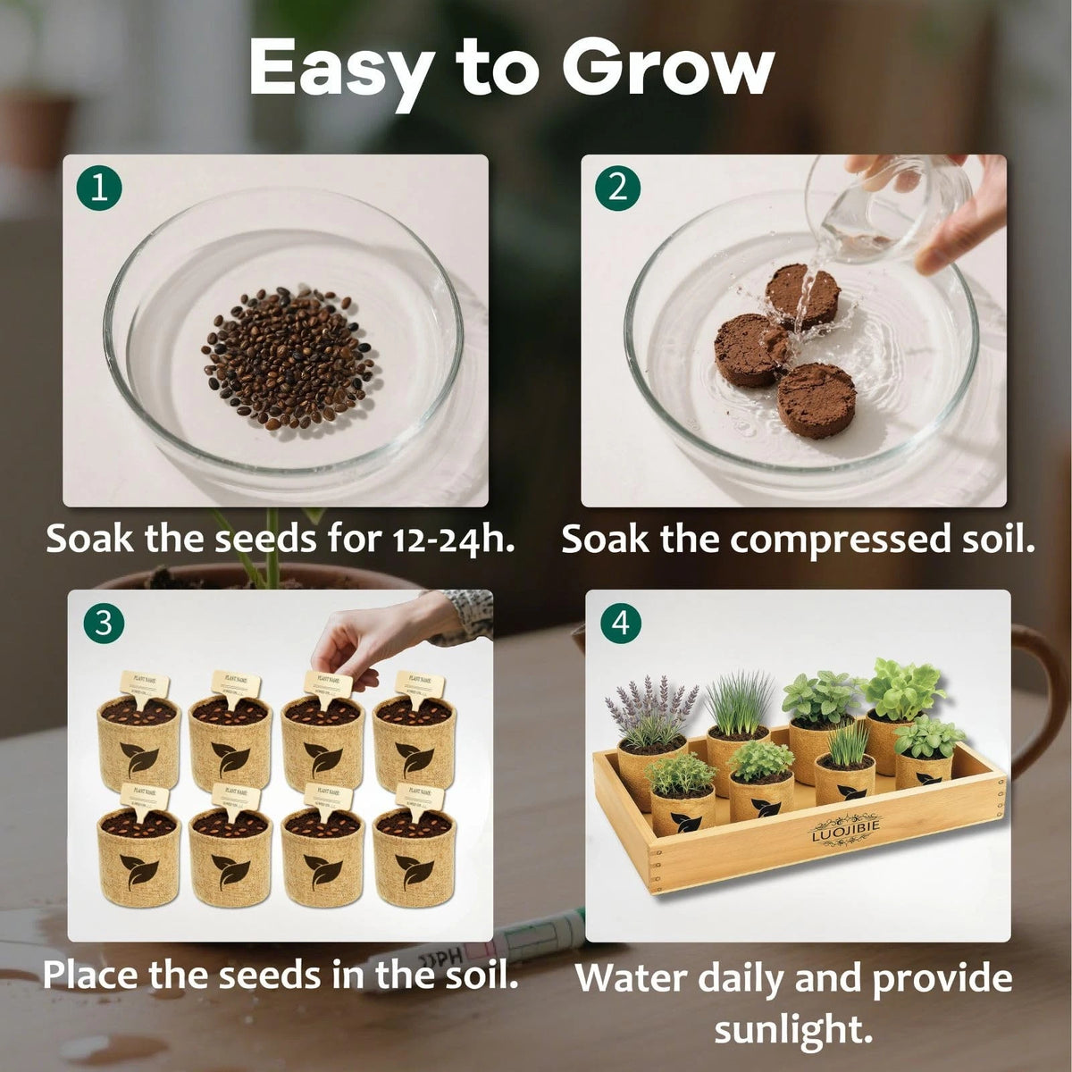 Indoor Herb Garden Start Kit - Unique Gifts for Women, Mothers Day 8X, Green