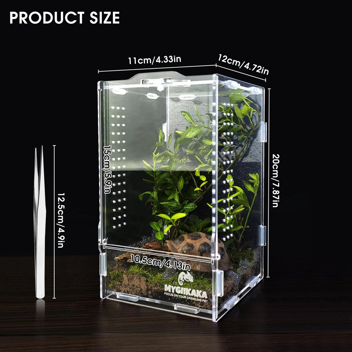 Acrylic Jumping Spider Habitat, Insect Terrarium, Bug Small, Transparent