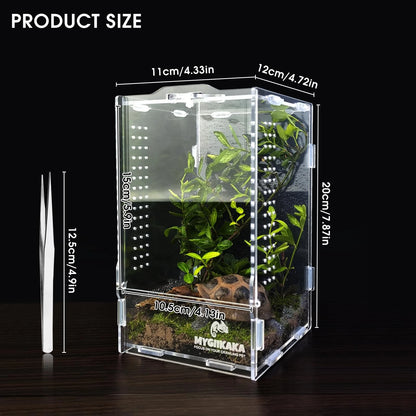 Acrylic Jumping Spider Habitat, Insect Terrarium, Bug Small, Transparent