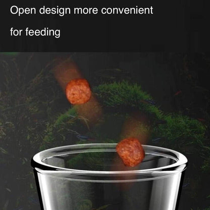 Shrimp Feeding Tube and Dish,Clear Crystal Glass 12“, clear