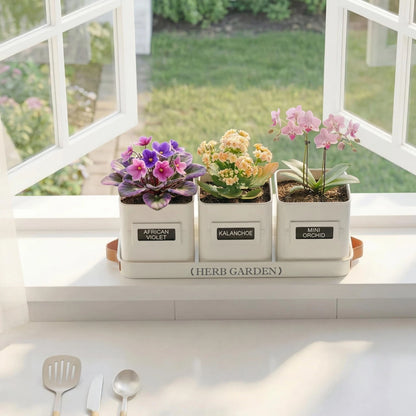 PERFNIQUE Indoor Herb Garden, 5.1 inches x 14.1 x 5.5 inches, White