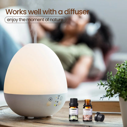 Nuanchu 26 Pcs Essential Oil Set for Humidifiers and 1 Fl Oz (Pack of 26)