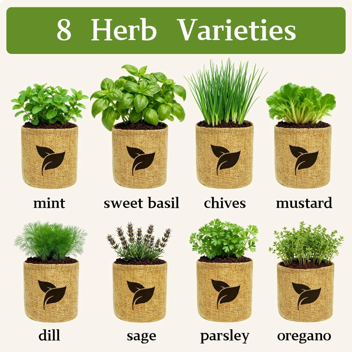 Indoor Herb Garden Start Kit - Unique Gifts for Women, Mothers Day 8X, Green