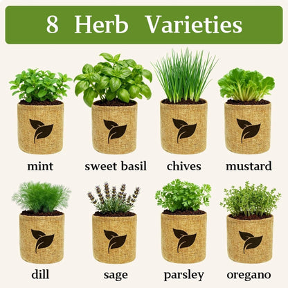 Indoor Herb Garden Start Kit - Unique Gifts for Women, Mothers Day 8X, Green