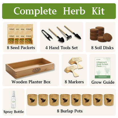 Indoor Herb Garden Start Kit - Unique Gifts for Women, Mothers Day 8X, Green