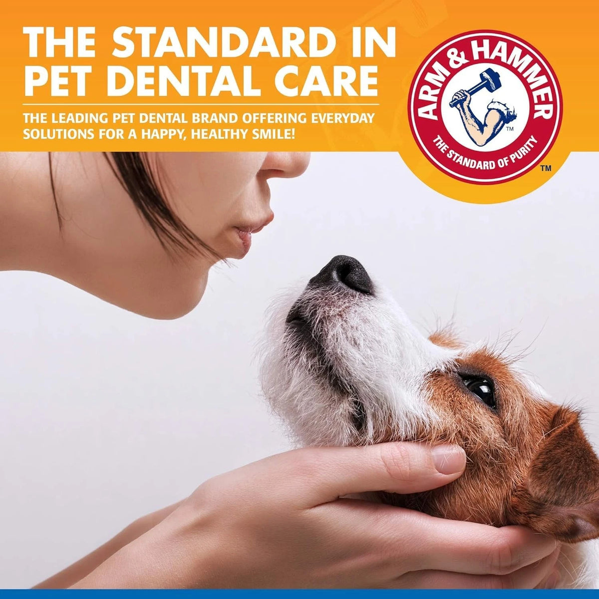 Arm & Hammer Clinical Care Dental Rinse for Adult Dogs, 16 Fl Oz (Pack of 2)