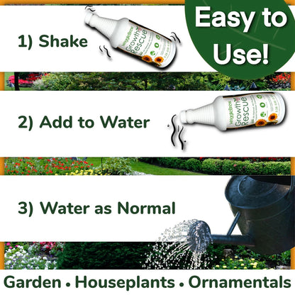 Wrigglebrew Organic Liquid Fertilizer Concentrate from Worm 16 Fluid Ounces