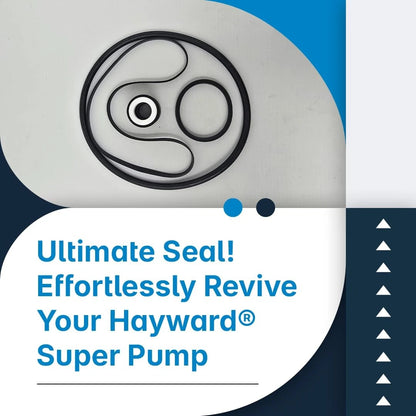 Southeastern Accessory Pool Pump O-Ring Seal Repair Kit for Hayward® Black