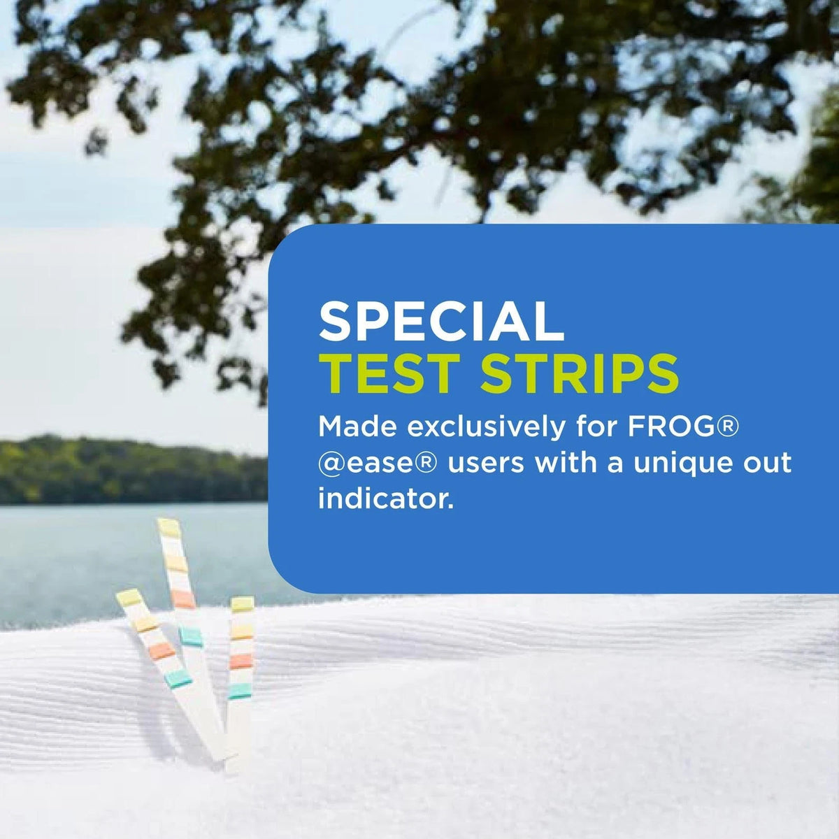 FROG @Ease Test Strips for Hot Tubs and Swim Spas - Strip with Out...
