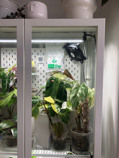 CO2BAG® M – Natural CO₂ Generator for Indoor Plants & Greenhouses | Boosts...