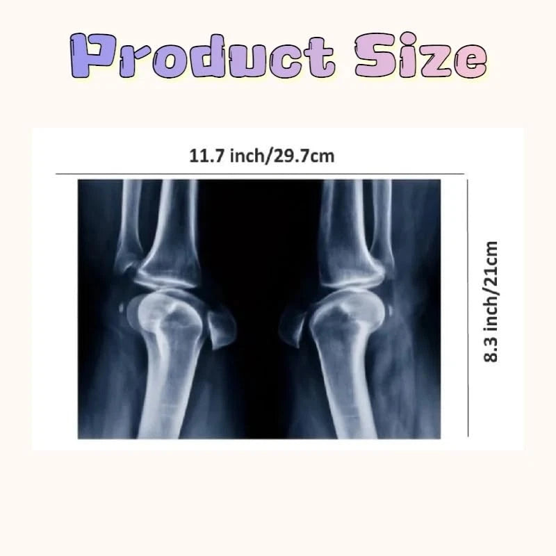 X-ray Science Education Package for Human Anatomy 8.3 inches by 11.7