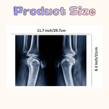 X-ray Science Education Package for Human Anatomy 8.3 inches by 11.7