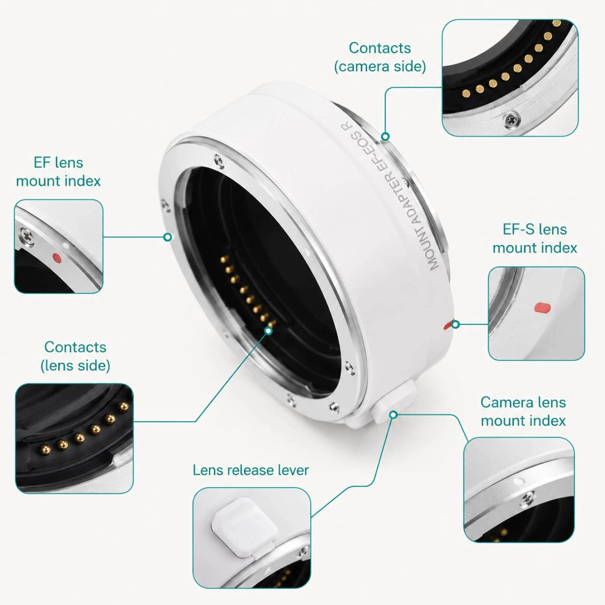 EF-EOS R Auto Focus Lens Adapter For Canon EF EF-S Lens To EOS R RF Mount Camera