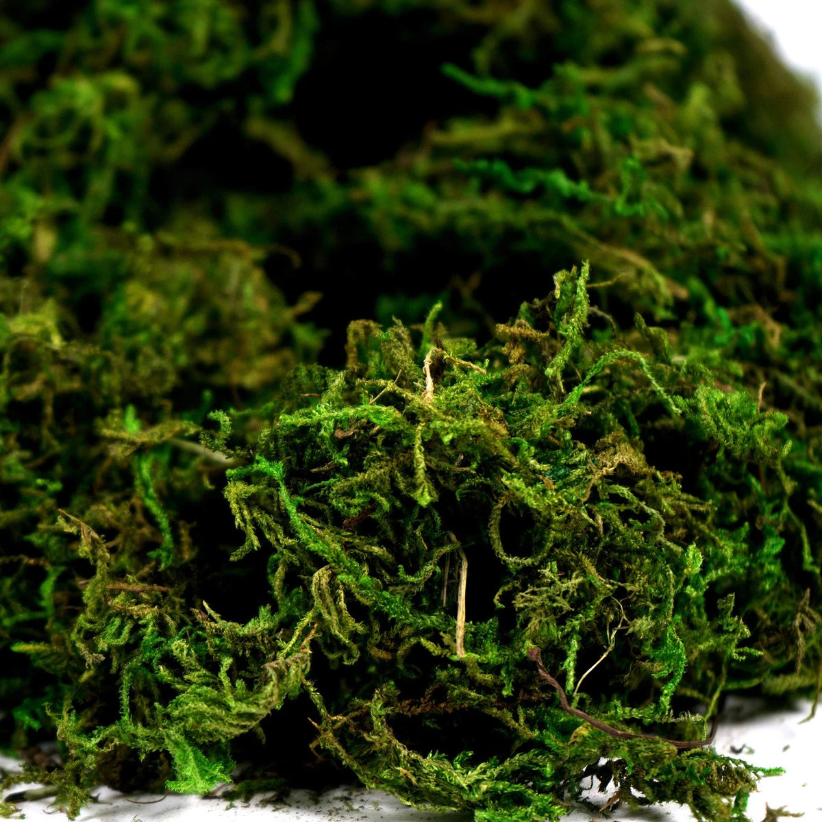 BYHER Artificial Moss Fake 10 inches x 4 x 3 inches, 3.5oz, Fresh