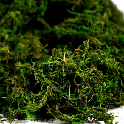 BYHER Artificial Moss Fake 10 inches x 4 x 3 inches, 3.5oz, Fresh