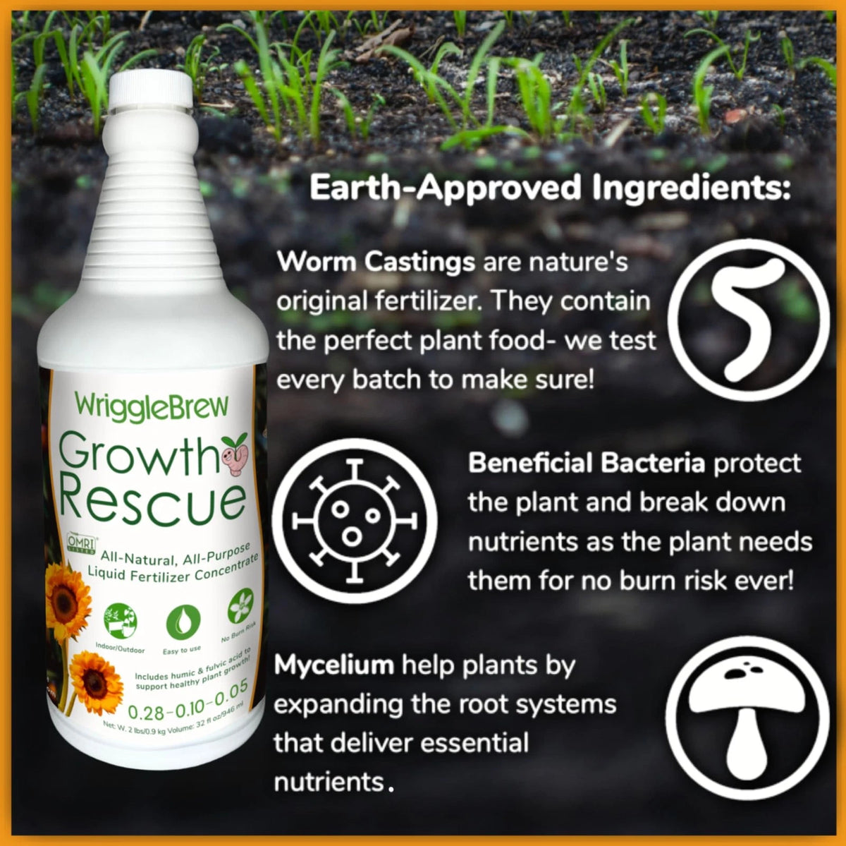 Wrigglebrew Organic Liquid Fertilizer Concentrate from Worm 16 Fluid Ounces