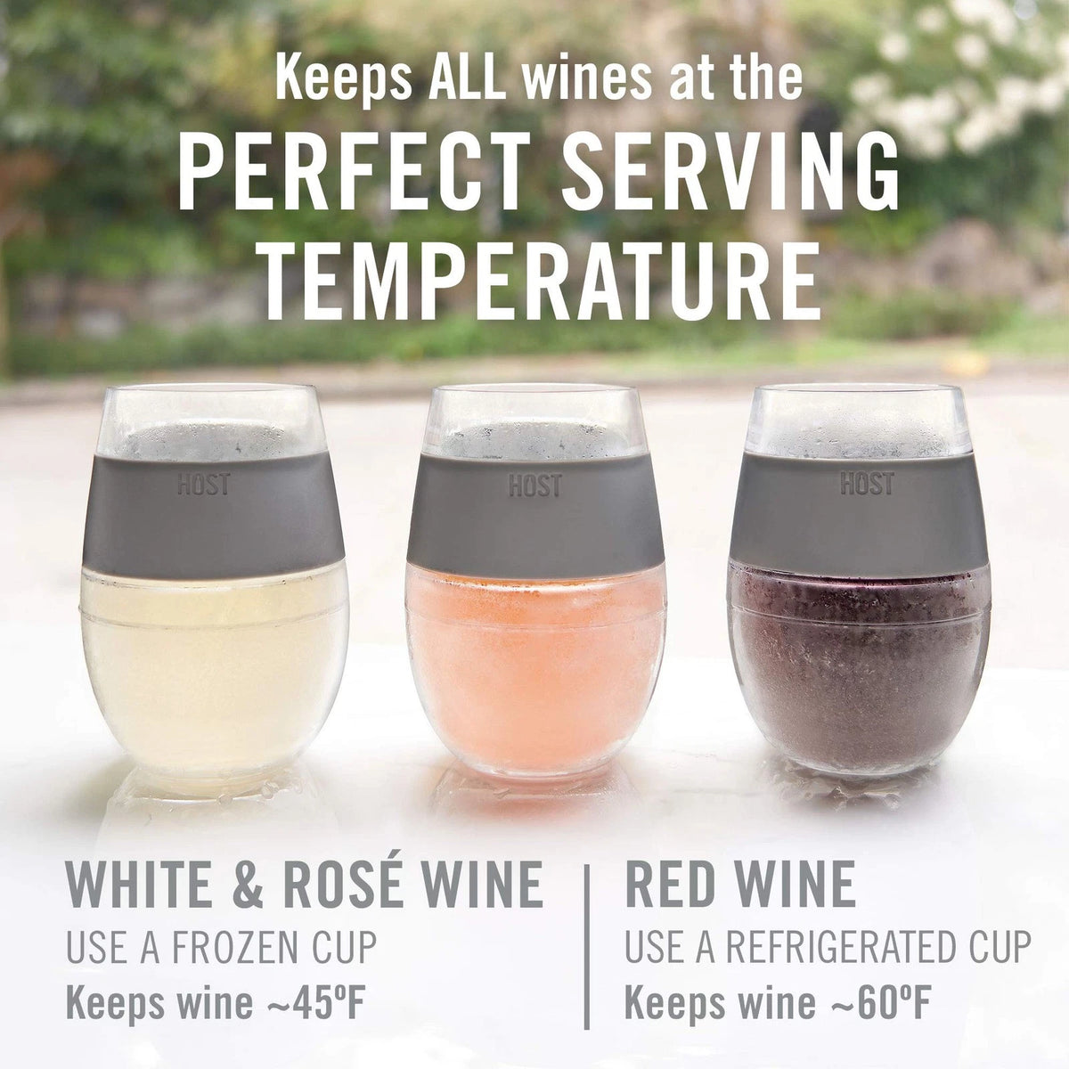 Host Wine Freeze Cup Set of 2 - Plastic Double Wall 8.5 Ounces, Gray Standard