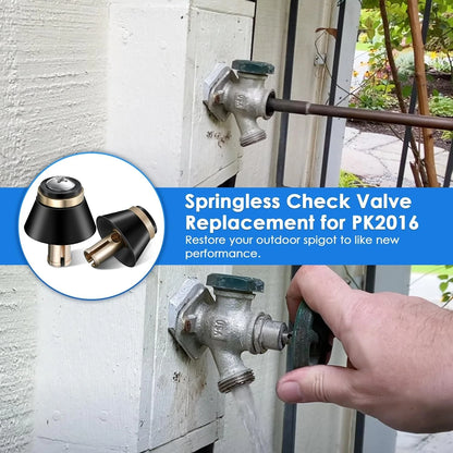 2 Pack Springless CHK Valve Replacement for PK2016 420 Series, black and gold