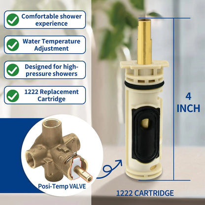 1222/1222B Cartridge Pressure Balancing with 104421 Removal Tool Chrome
