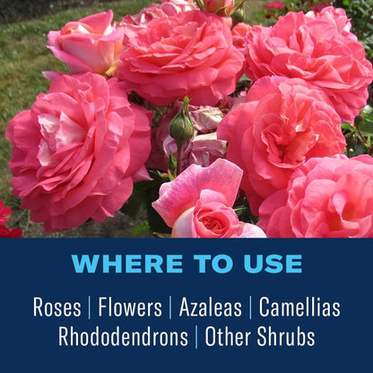 BioAdvanced All-In-One Rose and Flower 4 Pound, Ready-to-Use Granules 701110A