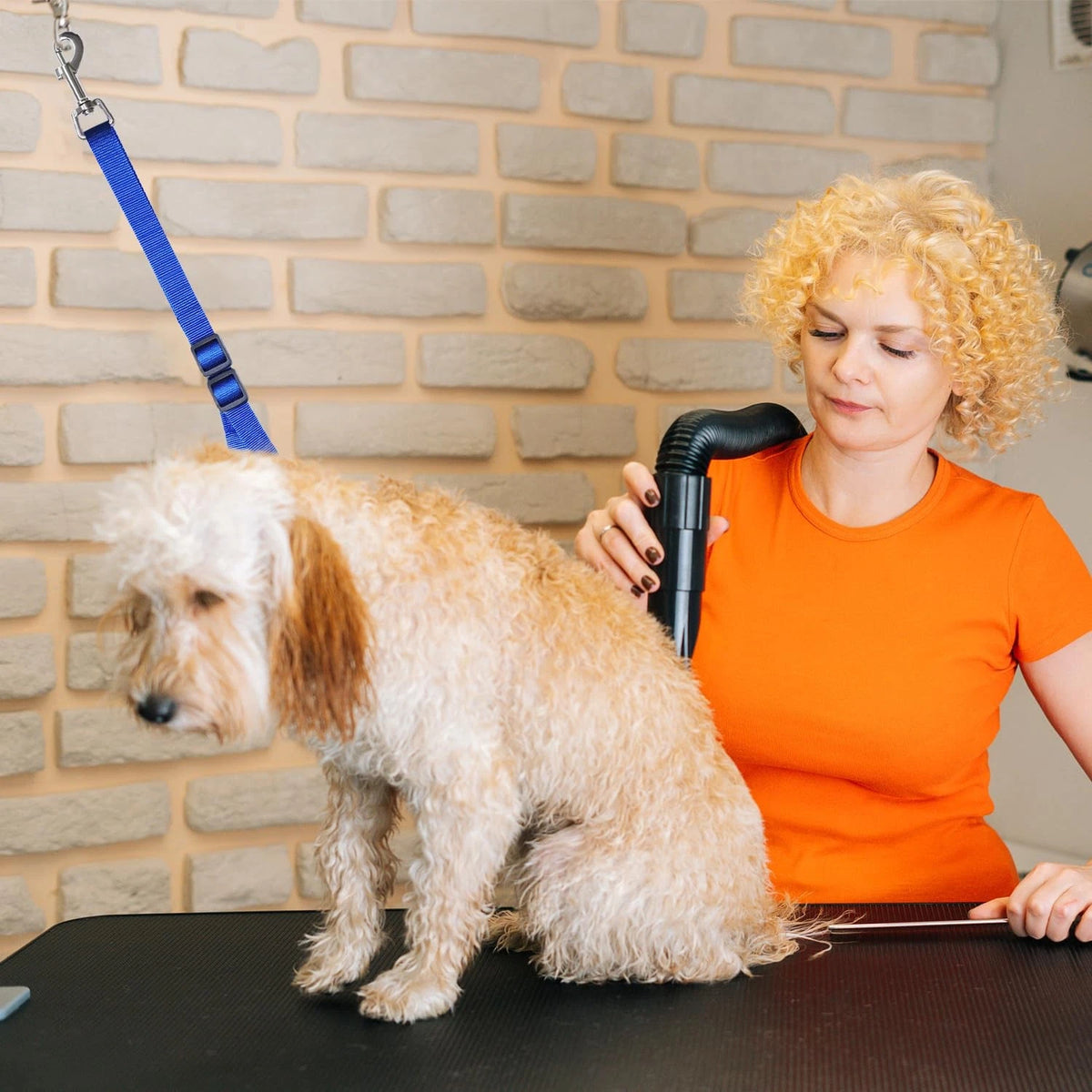 Pet Dog Grooming Loops,2 Pack Adjustable Nylon 18-31 Inches, Style 2
