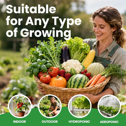 55 Vegetable Seeds Variety Pack - 39,000+ 55 PCS Seeds, Green