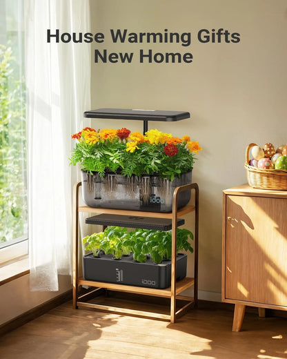 iDOO 12 Pods Indoor LED Hydroponic System Kit, 12 Pods, Transparent