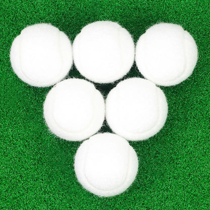 Tennis Balls, 6 Pack High Elasticity Practice Balls with 6.5 cm, White