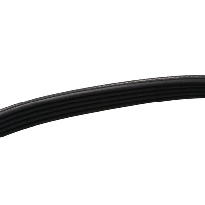 For Maytag For Amana Washer Drive Belt W11239857 5-Rib 21.6 Inch Rubber Belt;