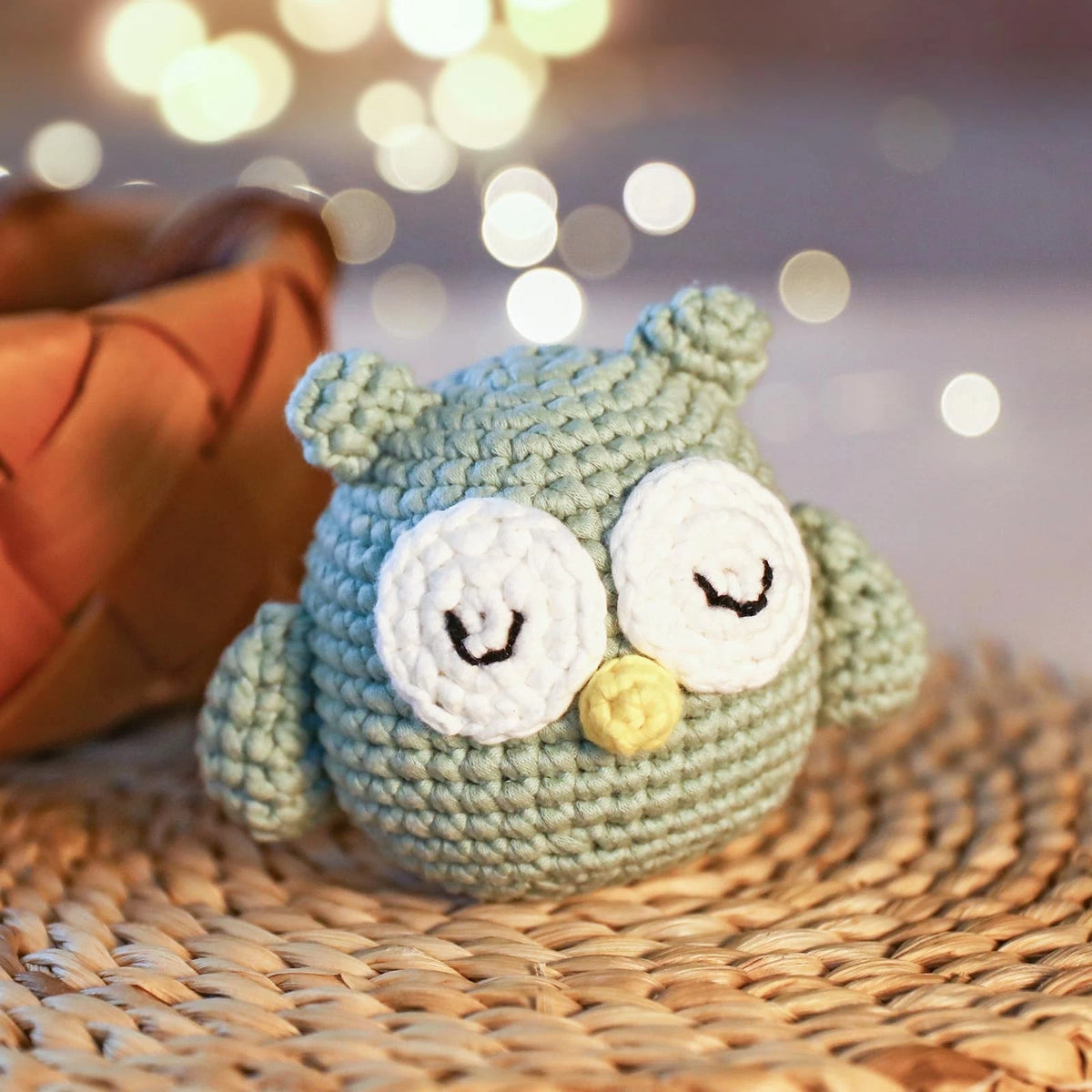 Complete Beginners Crochet Kit - Owl Kit, All You Need for Owl, owl